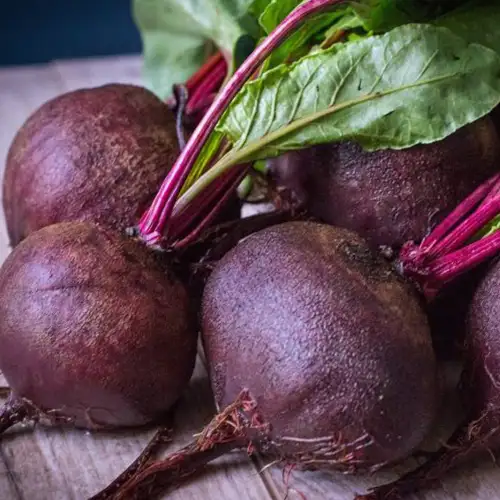 Betterave rouge crue 500g