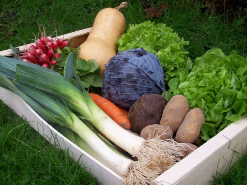 Panier de légumes surprise