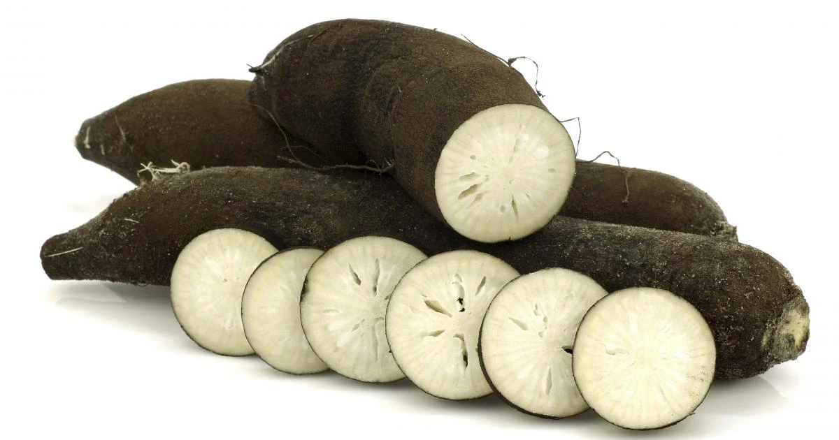 Radis noir 500g (3 euros le kilo)