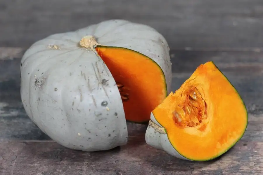 Courge bleue de Hongrie 3Kg