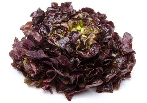 Feuille de chêne brune 1 pièce