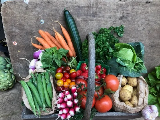 Panier de légumes surprise