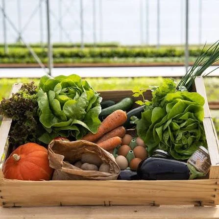 Panier de légumes surprise