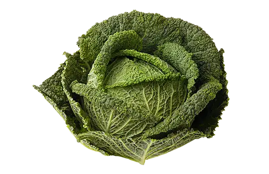 Chou frisé